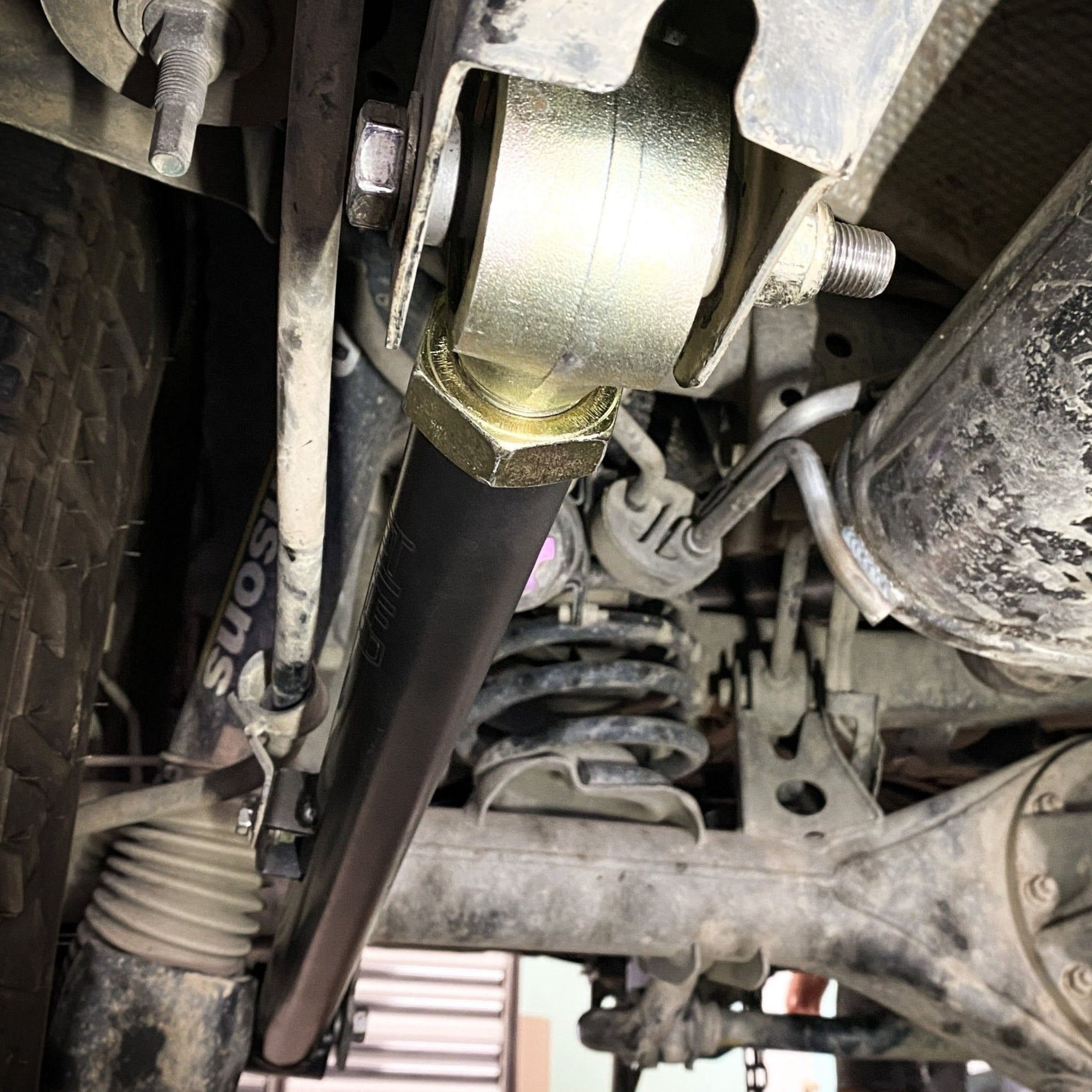 Rear Adjustable Control Arms (01-07 Sequoia)